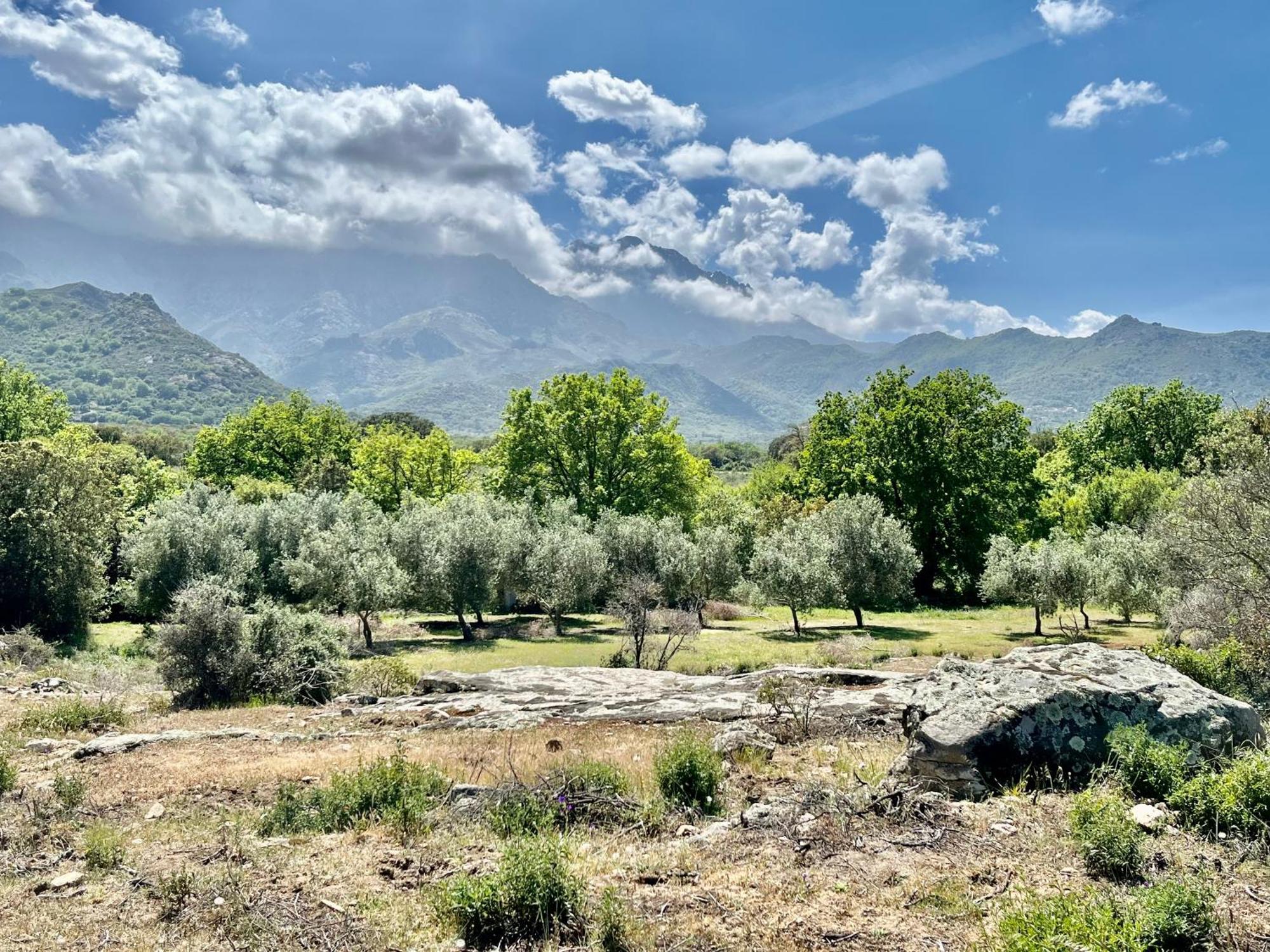 Domaine Du Reginu Hotel Santa-Reparata-di-Balagna ภายนอก รูปภาพ